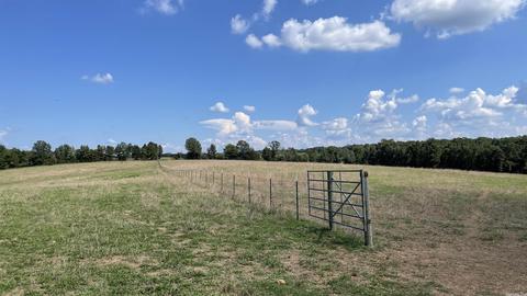 491 Thomas Rd, Hickory Flat, AR 72121 photo 24