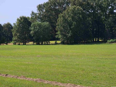 225 Lemay Loop, Austin, AR 72007 photo 8