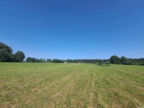 225 Lemay Loop, Austin, AR 72007 photo 3