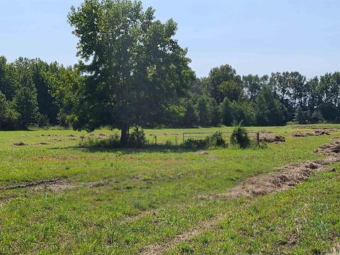 225 Lemay Loop, Austin, AR 72007 photo 11