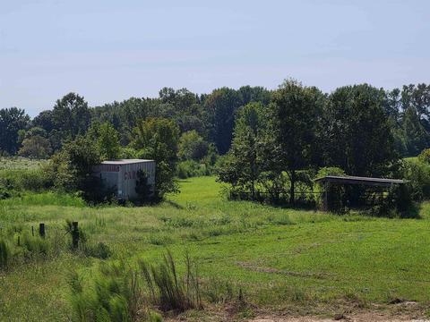 225 Lemay Loop, Austin, AR 72007 photo 9
