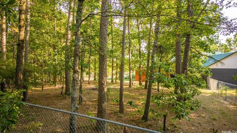 19 Ozark Dr, Damascus, AR 72039 photo 47