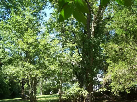 545 Ash Flat Dr, Ash Flat, AR 72513 photo 16