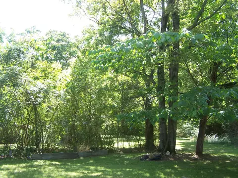545 Ash Flat Dr, Ash Flat, AR 72513 photo 13