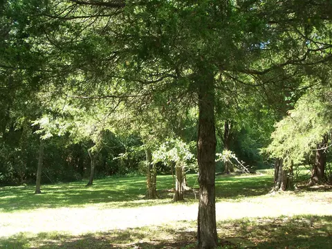 545 Ash Flat Dr, Ash Flat, AR 72513 photo 14