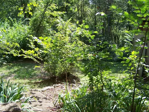545 Ash Flat Dr, Ash Flat, AR 72513 photo 20