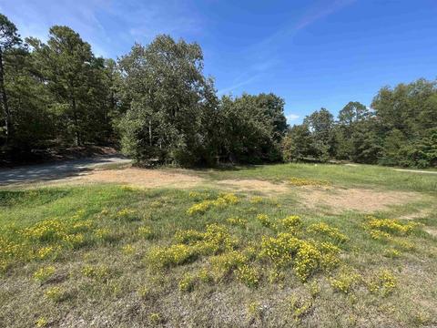 82 A B Mill Pond Rd, Conway, AR 72034 photo 2
