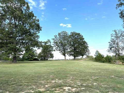 3020 Old Larkin Rd, Melbourne, AR 72556 photo 5
