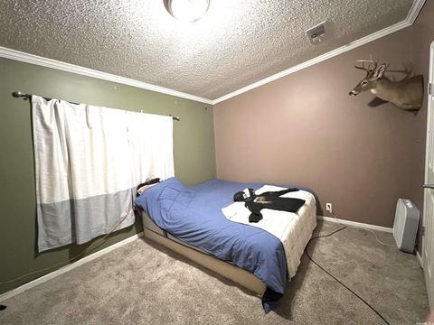 3020 Old Larkin Rd, Melbourne, AR 72556 photo 13