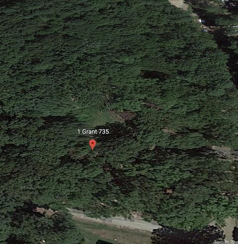 1 Grant 735, Sheridan, AR 72150 photo 3