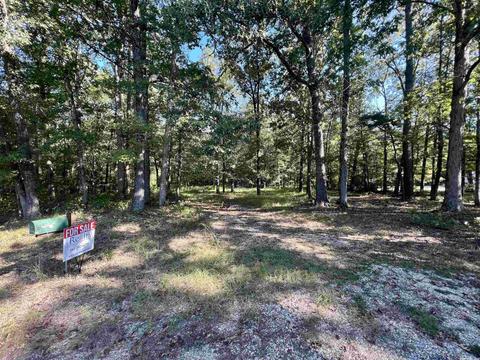 1 Grant 735, Sheridan, AR 72150 photo 1