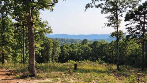 266 Nc 3690, Harrison, AR 72641 photo 7