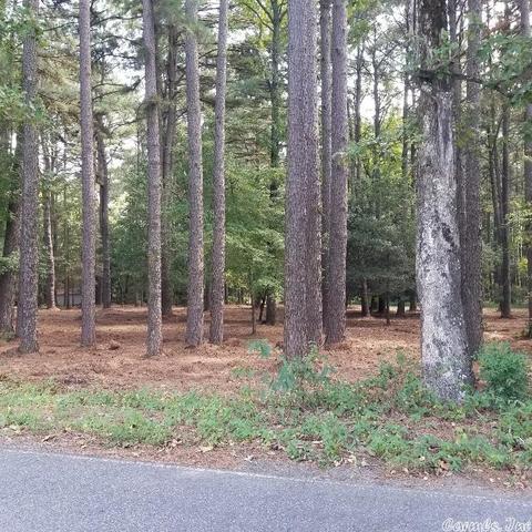 1309 Holmes Rd, Searcy, AR 72143 photo 42
