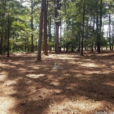 1309 Holmes Rd, Searcy, AR 72143 photo 4