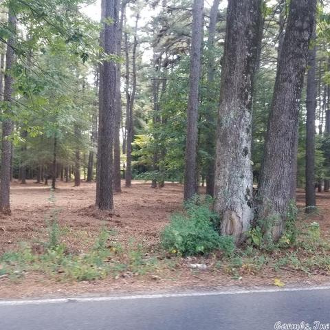 1309 Holmes Rd, Searcy, AR 72143 photo 40