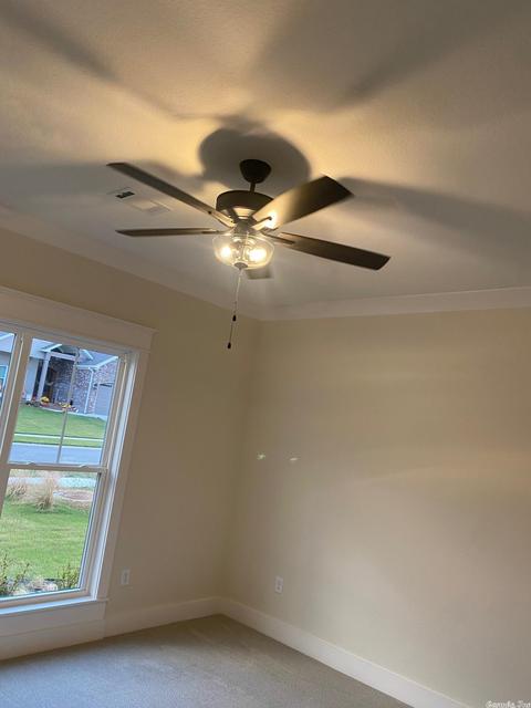2518 Lilac Dr, Conway, AR 72034 photo 26