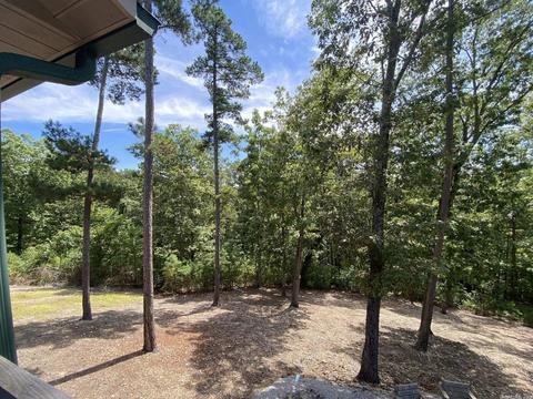 103 Jacobs Ln, Mountain View, AR 72560 photo 24