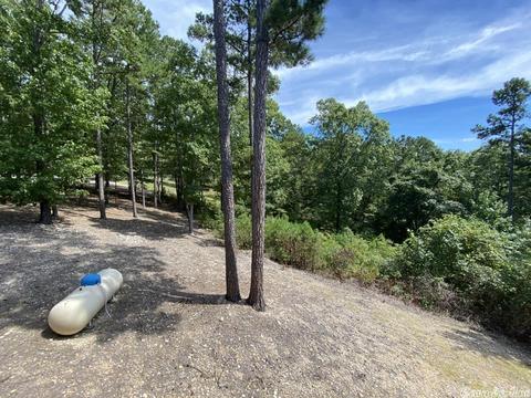 103 Jacobs Ln, Mountain View, AR 72560 photo 31