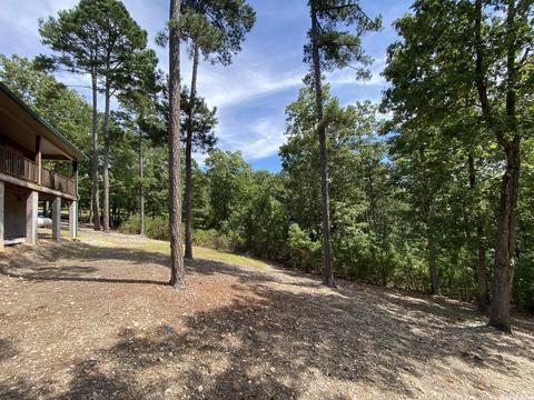 103 Jacobs Ln, Mountain View, AR 72560 photo 20