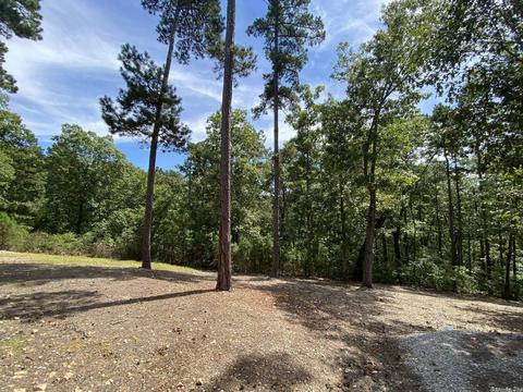 103 Jacobs Ln, Mountain View, AR 72560 photo 21