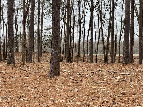 lot6 River Creek Ests, Pangburn, AR 72121 photo 4