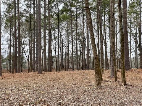 lot6 River Creek Ests, Pangburn, AR 72121 photo 3