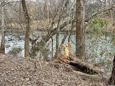lot6 River Creek Ests, Pangburn, AR 72121 photo 2