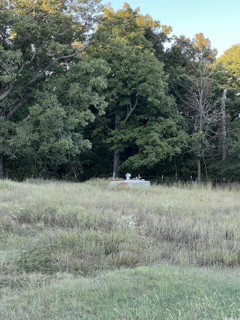 21145 Hwy 263, Fox, AR 72051 photo 25