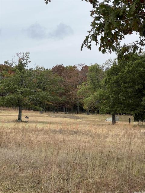 21145 Hwy 263, Fox, AR 72051 photo 48