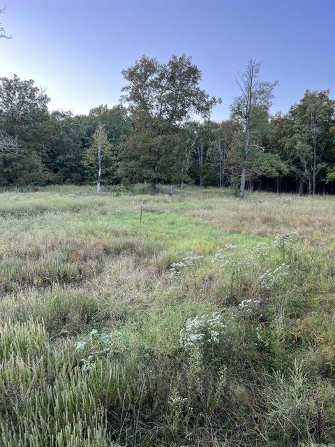 21145 Hwy 263, Fox, AR 72051 photo 7