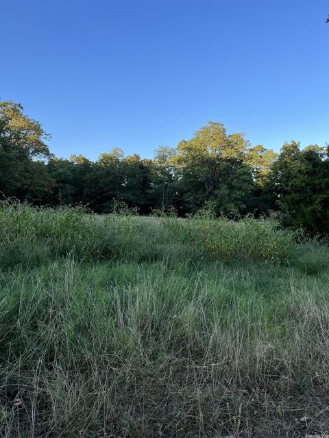 21145 Hwy 263, Fox, AR 72051 photo 26
