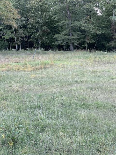 21145 Hwy 263, Fox, AR 72051 photo 24