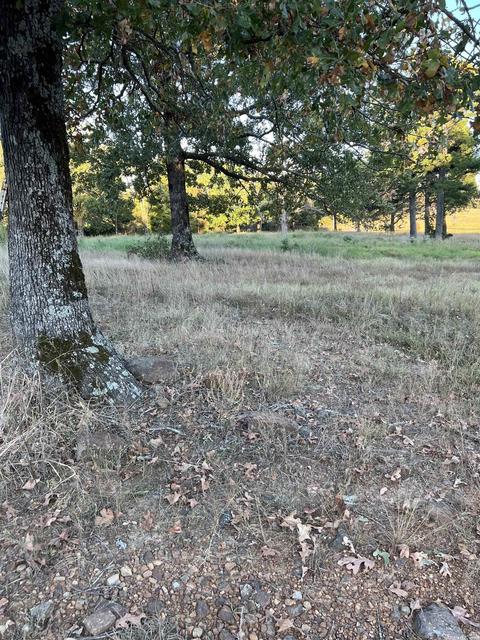 21145 Hwy 263, Fox, AR 72051 photo 28