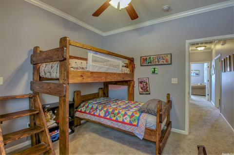 1047 Skyline Dr, Alexander, AR 72002 photo 13