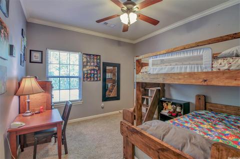 1047 Skyline Dr, Alexander, AR 72002 photo 12