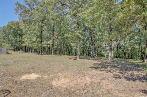 1047 Skyline Dr, Alexander, AR 72002 photo 49