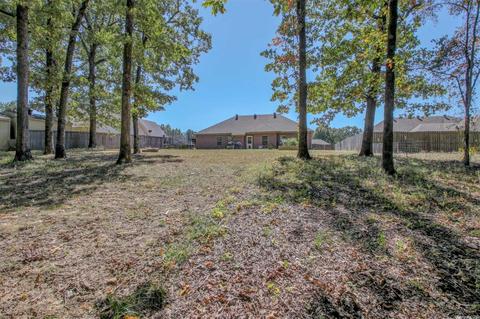 1047 Skyline Dr, Alexander, AR 72002 photo 46