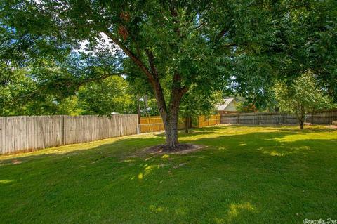 3907 Congo Rd, Benton, AR 72019 photo 40