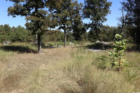 tbd Squirrel Hill Rd, Glencoe, AR 72576 photo 3