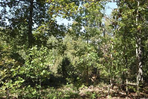 tbd Squirrel Hill Rd, Glencoe, AR 72576 photo 5
