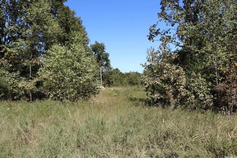 tbd Squirrel Hill Rd, Glencoe, AR 72576 photo 8