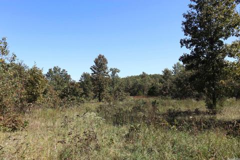 tbd Squirrel Hill Rd, Glencoe, AR 72576 photo 6