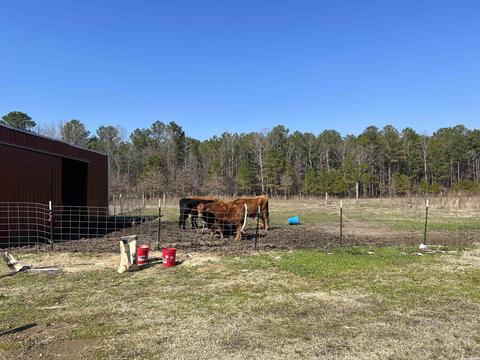 2813 S Evans, White Hall, AR 71602 photo 6