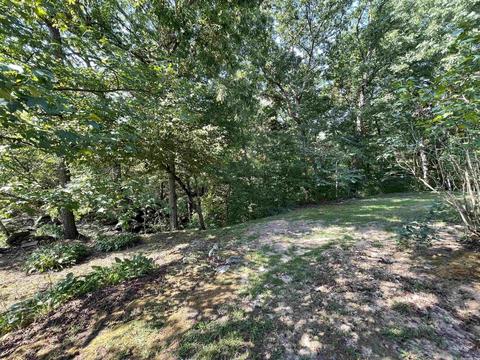 96 Campbell Loop, Mount Pleasant, AR 72561 photo 44