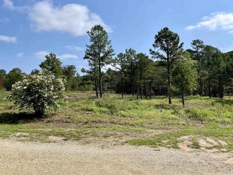96 Campbell Loop, Mount Pleasant, AR 72561 photo 47