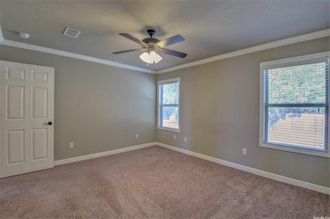 334 Austin Creek Dr, Austin, AR 72007 photo 22