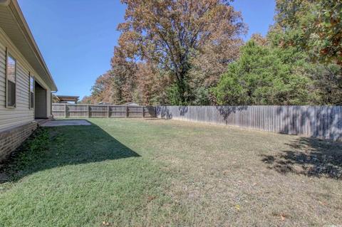 334 Austin Creek Dr, Austin, AR 72007 photo 44