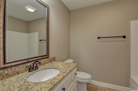 334 Austin Creek Dr, Austin, AR 72007 photo 32
