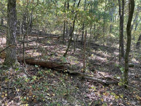 169 Glaze Loop Rd, Bald Knob, AR 72010 photo 42