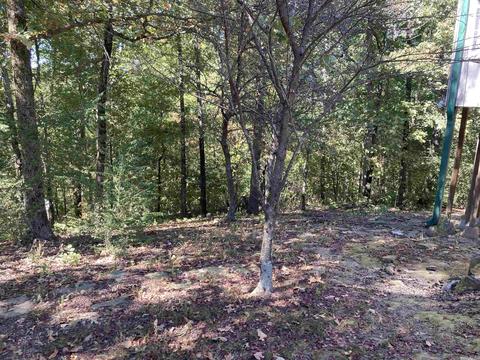 169 Glaze Loop Rd, Bald Knob, AR 72010 photo 35